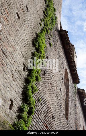 France, région Occitanie, Gaillac, Église Saint-Pierre (Église Saint-Pierre) montrant l'ancien mur de briques de la rue Saint-Pierre Banque D'Images