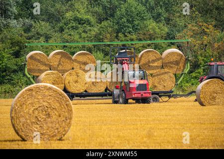 Les balles de paille, les balles rondes, sont chargées sur une remorque après la récolte du grain, près de Neuss NRW, Allemagne Banque D'Images