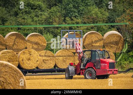 Strohballen, Rundballen, werden nach der Getreideernte auf einen Hänger verladen, BEI Neuss NRW, Deutschland Strohernte *** les balles de paille, balles rondes, sont chargées sur une remorque après la récolte des céréales, près de Neuss NRW, Allemagne récolte de paille Banque D'Images