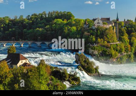 Chutes du Rhin près de Schaffhausen avec Schloss Laufen, Neuhausen BEI Schaffhausen, canton de Schaffhausen, Suisse, Europe Copyright : MarkusxLange 1160-5 Banque D'Images