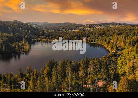 Antenne du réservoir Windgfallweiher, Schwarzwald Forêt Noire, Bade-Wurtemberg, Allemagne, Europe Copyright : MarkusxLange 1160-5425 Banque D'Images