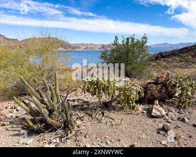 Une vue depuis les montagnes environnantes de Concepcion Bay, basse Californie sur, mer de Cortez, Mexique, Amérique du Nord Banque D'Images