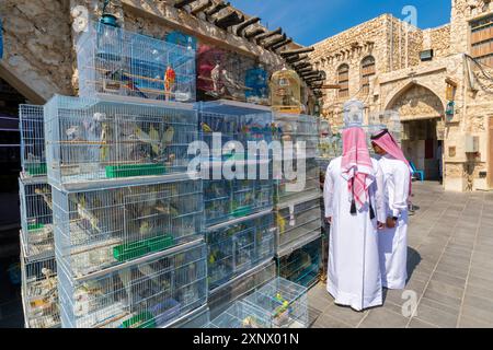 Marché aux oiseaux au Souq Waqif, Doha, Qatar, moyen-Orient Banque D'Images