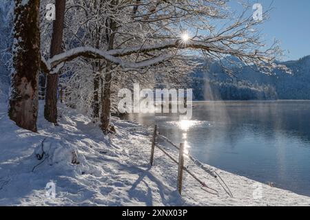 Lac Alpsee, Schwangau, Fussen, Souabe, Alpes bavaroises, Bavière, Allemagne, Europe Banque D'Images