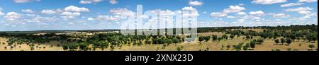 Une vue panoramique sur le paysage serein des collines ondoyantes parsemées de chênes, champs expansifs, sous un ciel bleu nuageux, Alentejo, Portugal, Europe Banque D'Images