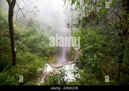 Tinh Yeu (Love Waterfall) dans la jungle près de sa Pa (Sapa), province de Lao Cai, Vietnam, Indochine, Asie du Sud-est, Asie Banque D'Images