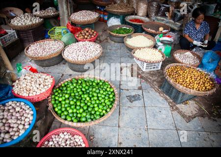 Épices tropicales et fruits vendus sur un marché local à Hanoi, Vietnam, Indochine, Asie du Sud-est, Asie Banque D'Images