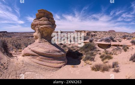 Un hoodoo appelé le guerrier Zuni sur le bord d'une falaise près de Hamilili point, Hamilili est Zuni signifiant bois pétrifié, Parc national de la forêt pétrifiée Banque D'Images