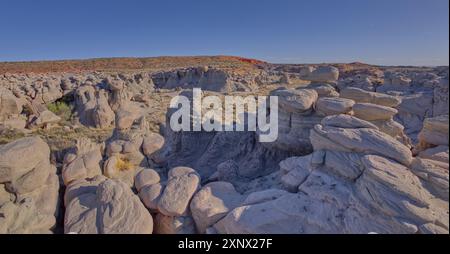 Jardin de gobelin à l'ouest de Hamilili point dans le parc national de la forêt pétrifiée, Arizona, États-Unis d'Amérique, Amérique du Nord Banque D'Images