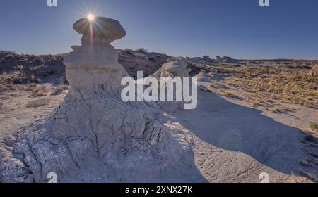 Jardin de gobelin à l'ouest de Hamilili point dans le parc national de la forêt pétrifiée, Arizona, États-Unis d'Amérique, Amérique du Nord Banque D'Images