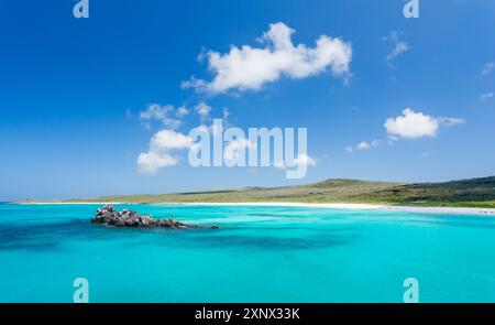 Gardner Bay, île d'Espanola, Galapagos, site du patrimoine mondial de l'UNESCO, Équateur, Amérique du Sud Banque D'Images