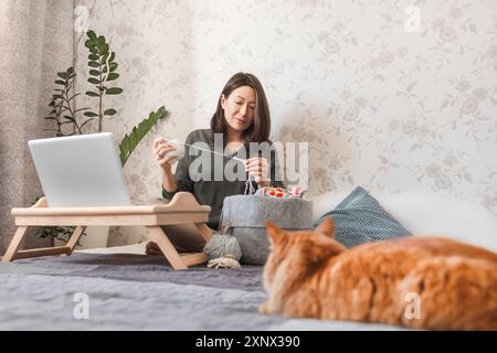 Ginger Cat regarde comment la femme fait du crocheting tout en regardant un film sur un ordinateur portable. Apprenez à coudre à partir de leçons vidéo sur Internet. Maison confortable et passe-temps anti stress Banque D'Images