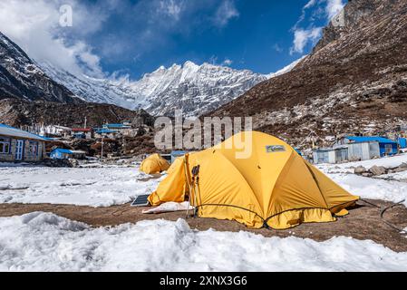 Tentes d'expédition jaunes devant Langtan Lirung, Kyanjin Gompa, trek de la vallée de Langtang, Himalaya, Népal, Asie Banque D'Images