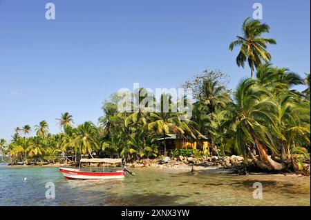 Boca del Drago, du côlon, de l'île de l'archipel de Bocas del Toro, PANAMA, Amérique Centrale Banque D'Images