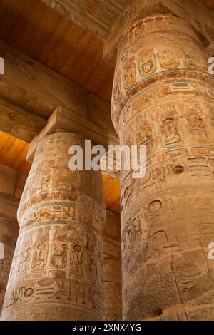 Les grandes colonnes de papyrus, Hypostyle, complexe du temple de Karnak, site du patrimoine mondial de l'UNESCO, Louxor, Egypte, Afrique du Nord, Afrique Banque D'Images