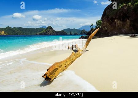 Driftwood sur la plage de sable blanc à la belle île de Mahoro avec les îles Masare et Pahepa au-delà, Mahoro, Siau, Sulawesi du Nord, Indonésie Banque D'Images