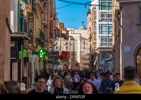 Vue de la rue animée menant à Placa Mayor, Palma de Majorque, Majorque, Îles Baléares, Espagne, Méditerranée, Europe Banque D'Images