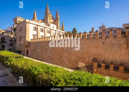 Vue de Cathedral-Basilica de Santa Maria de Mallorca depuis Seo Garden, Palma de Mallorca, Majorque, Îles Baléares, Espagne, Méditerranée, Europe Banque D'Images