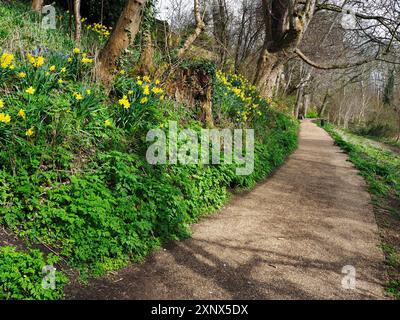 Lade Braes Walk in Spring in fabrique Andrews, Fife, Scotland, Royaume-Uni, Europe Banque D'Images