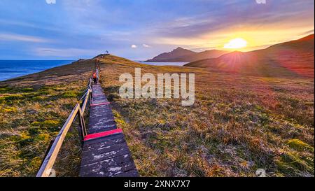 Promenade au cap Horn, point le plus méridional d'Amérique du Sud, île Hornos, Terre de feu, Chili, Amérique du Sud Copyright : MichaelxRunkel 1184-124 Banque D'Images