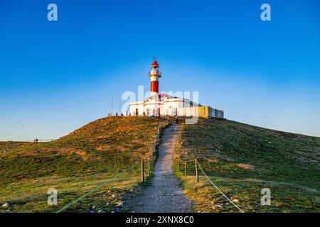 Phare sur l'île de Magdalena, région de Magallanes, Punta Arenas, Chili, Amérique du Sud Copyright : MichaelxRunkel 1184-12460 Banque D'Images