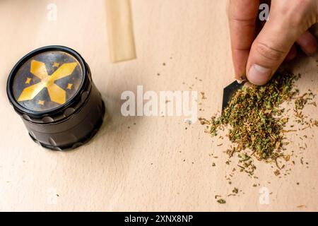 Personne reconnaissable préparant un joint de marijuana Banque D'Images