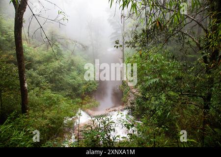 Tinh Yeu Love Waterfall dans la jungle près de sa Pa Sapa, province de Lao Cai, Vietnam, Indochine, Asie du Sud-est, Asie Copyright : NagyxMelinda 1265-448 Banque D'Images