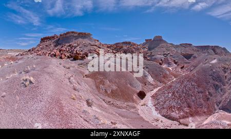 Îles rocheuses en ruine près de Hamilili point dans la forêt pétrifiée, Arizona, États-Unis d'Amérique, Amérique du Nord Copyright : StevenxLove 1311-932 Banque D'Images