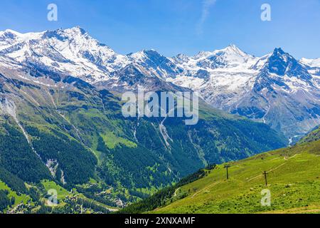 Prairies alpines au sommet de la Corne de Sorebois, avec les sommets enneigés de Weisshorn, Bishorn, Zinalrothorn et Obergabelhorn Banque D'Images