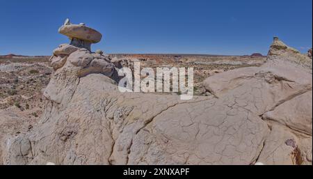 Flèche de grès en forme de champignon sur une crête érodée à l'ouest de Hamilili point dans le parc national Petrified Forest, Arizona, États-Unis d'Amérique, Nord Banque D'Images