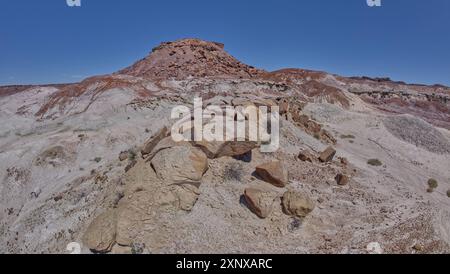 Plaines d'argile grise sous Anvil Hill à l'ouest de Hamilili point dans le parc national Petrified Forest, Arizona, États-Unis d'Amérique, Amérique du Nord Copyright : Banque D'Images