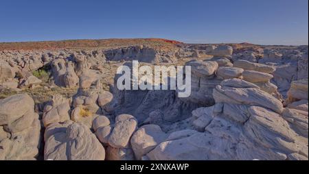 Jardin de gobelins à l'ouest de Hamilili point dans le parc national de la forêt pétrifiée, Arizona, États-Unis d'Amérique, Amérique du Nord Copyright : StevenxLove 1311-9 Banque D'Images