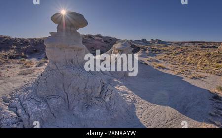 Jardin de gobelins à l'ouest de Hamilili point dans le parc national de la forêt pétrifiée, Arizona, États-Unis d'Amérique, Amérique du Nord Copyright : StevenxLove 1311-9 Banque D'Images