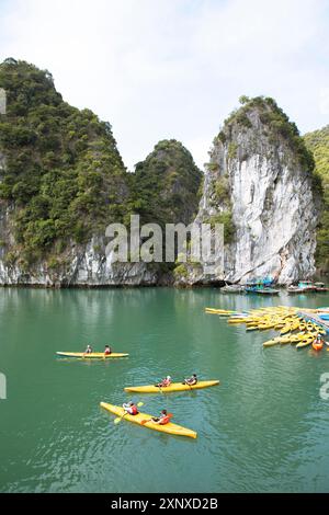 Kayaks jaunes à une jetée et les rochers karstiques dans la baie de LAN Ha, baie d'Halong, Vietnam Banque D'Images