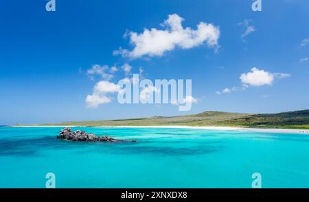Gardner Bay, Île d'Espanola, Galapagos, site du patrimoine mondial de l'UNESCO, Équateur, Amérique du Sud Copyright : BarryxDavis 1358-444 Banque D'Images
