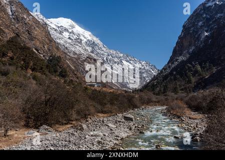 Langtang Khola River Wandering through the Valley, Langtang Valley Trek, Himalaya, Nepal, Asia Copyright : CasparxSchlageter 1372-463 Banque D'Images