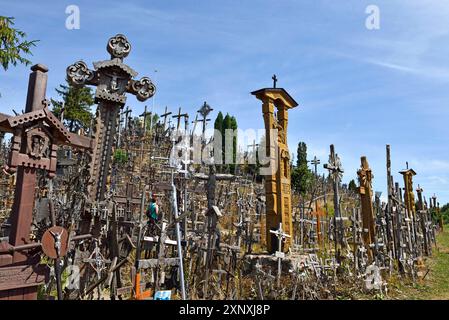 Colline des croix, près de Siauliai, Lituanie, Europe Copyright : GOUPIxCHRISTIAN 1382-165 DATE D'ENREGISTREMENT NON INDIQUÉE Banque D'Images