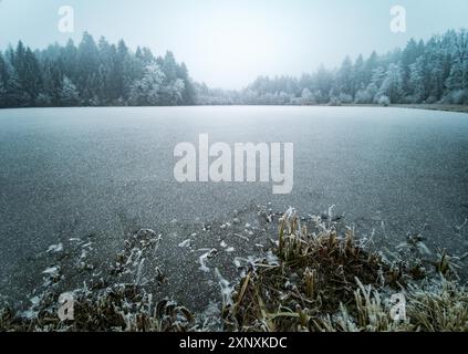 Paysage de lac gelé avec forêt en hiver, gel sur les arbres et l'herbe. Fond d'hiver Banque D'Images