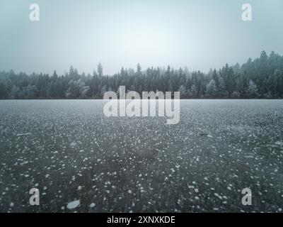 Paysage de lac gelé avec forêt en hiver, gel sur les arbres et l'herbe. Fond d'hiver Banque D'Images