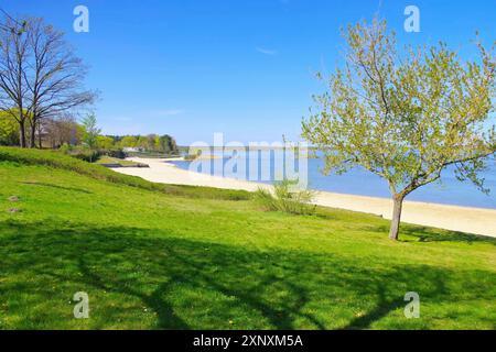 Plage du lac de Senftenberg Grosskoschen dans la région des lacs de Lusace, Allemagne, plage du lac de Senftenberg Grosskoschen région des lacs de Lusace, Allemagne Banque D'Images