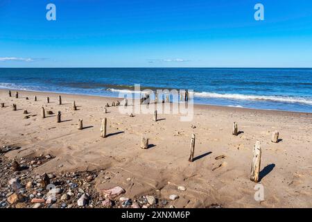 Groynes sur la côte de la mer Baltique à Kuehlungsborn Banque D'Images