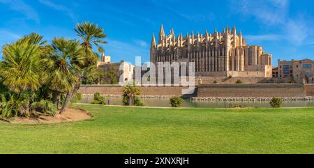 Vue de Cathedral-Basilica de Santa Maria de Mallorca depuis Passeig maritime, Palma de Mallorca, Majorque, Îles Baléares, Espagne, Méditerranée, Europ Banque D'Images