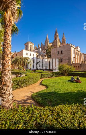 Vue de Cathedral-Basilica de Santa Maria de Mallorca depuis Seo Garden, Palma de Mallorca, Majorque, Îles Baléares, Espagne, Méditerranée, Europe copie Banque D'Images