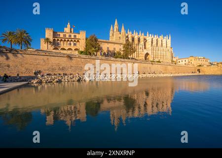 Vue de Cathedral-Basilica de Santa Maria de Mallorca depuis Passeig maritime, Palma de Mallorca, Majorque, Îles Baléares, Espagne, Méditerranée, Europ Banque D'Images