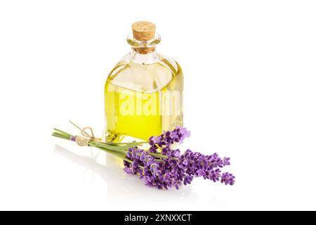 L'huile essentielle de lavande dans la bouteille en verre isolé sur fond blanc Banque D'Images