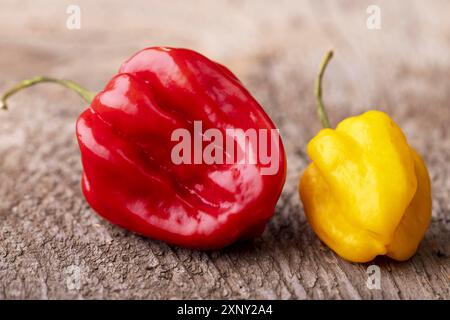Piments habanero rouges et jaunes sur bois Banque D'Images