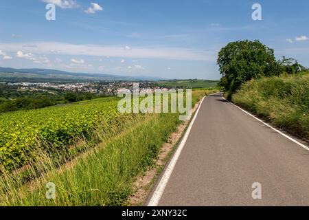 Ingelheim, Rhein, Allemagne pendant l'été Banque D'Images