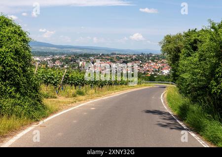 Ingelheim, Rhein, Allemagne pendant l'été Banque D'Images