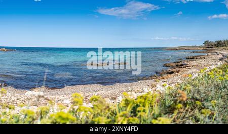 Randonnée sur la plage jusqu'à la Torre Guaceto à Apulia, en Italie, à travers la réserve naturelle maritime Banque D'Images