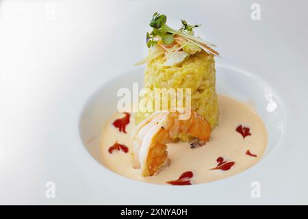 Plat gastronomique de risotto au safran avec garniture aux légumes et aux herbes, une grande sauce aux crevettes et aux crustacés dans une assiette blanche moderne, espace copie, sélectionné Banque D'Images